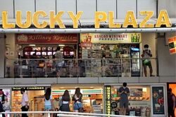 Lucky Plaza (D9), Shop House #589186481